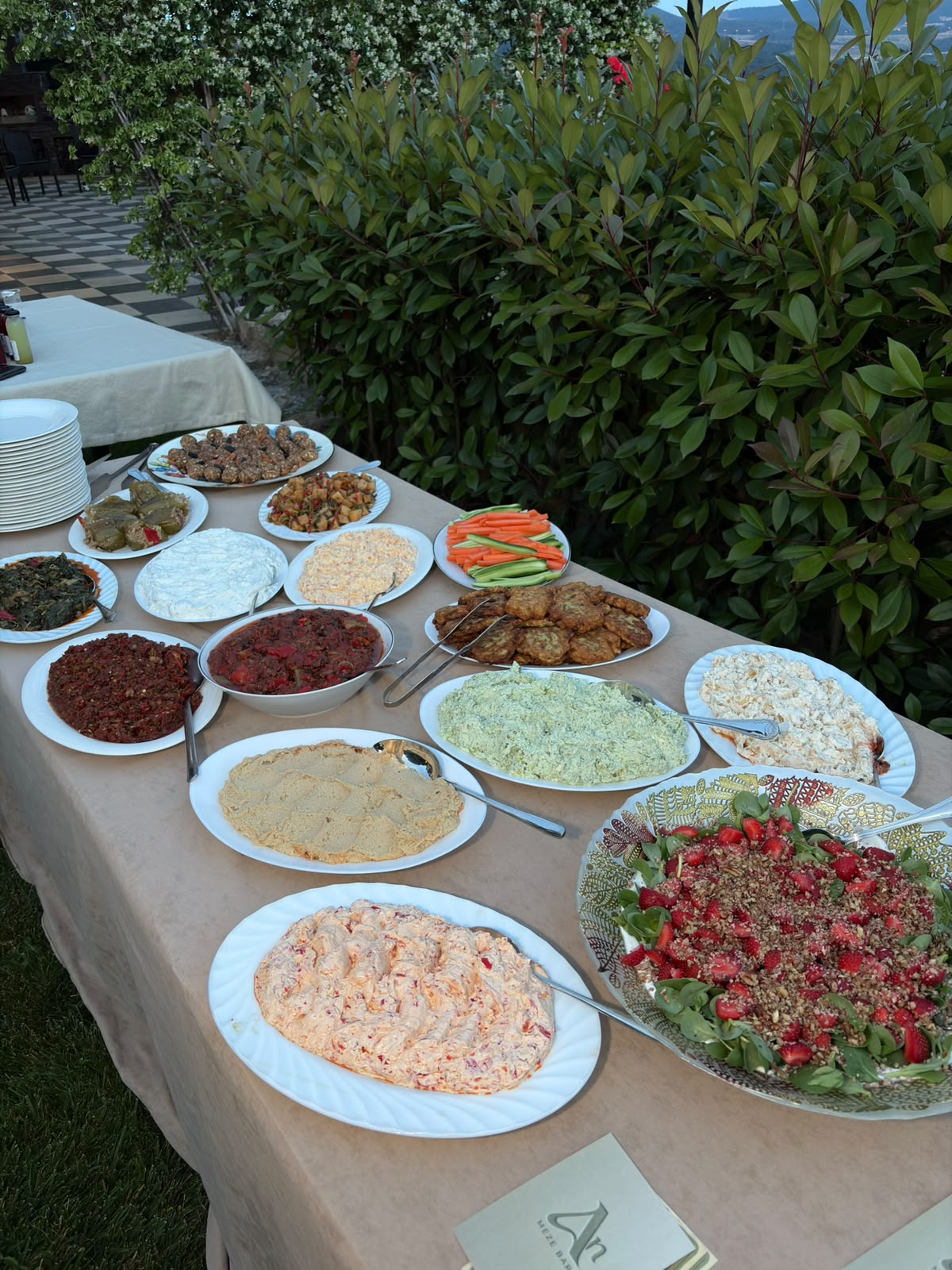 Ekin Göcekli × ModeonTraining × An Meze